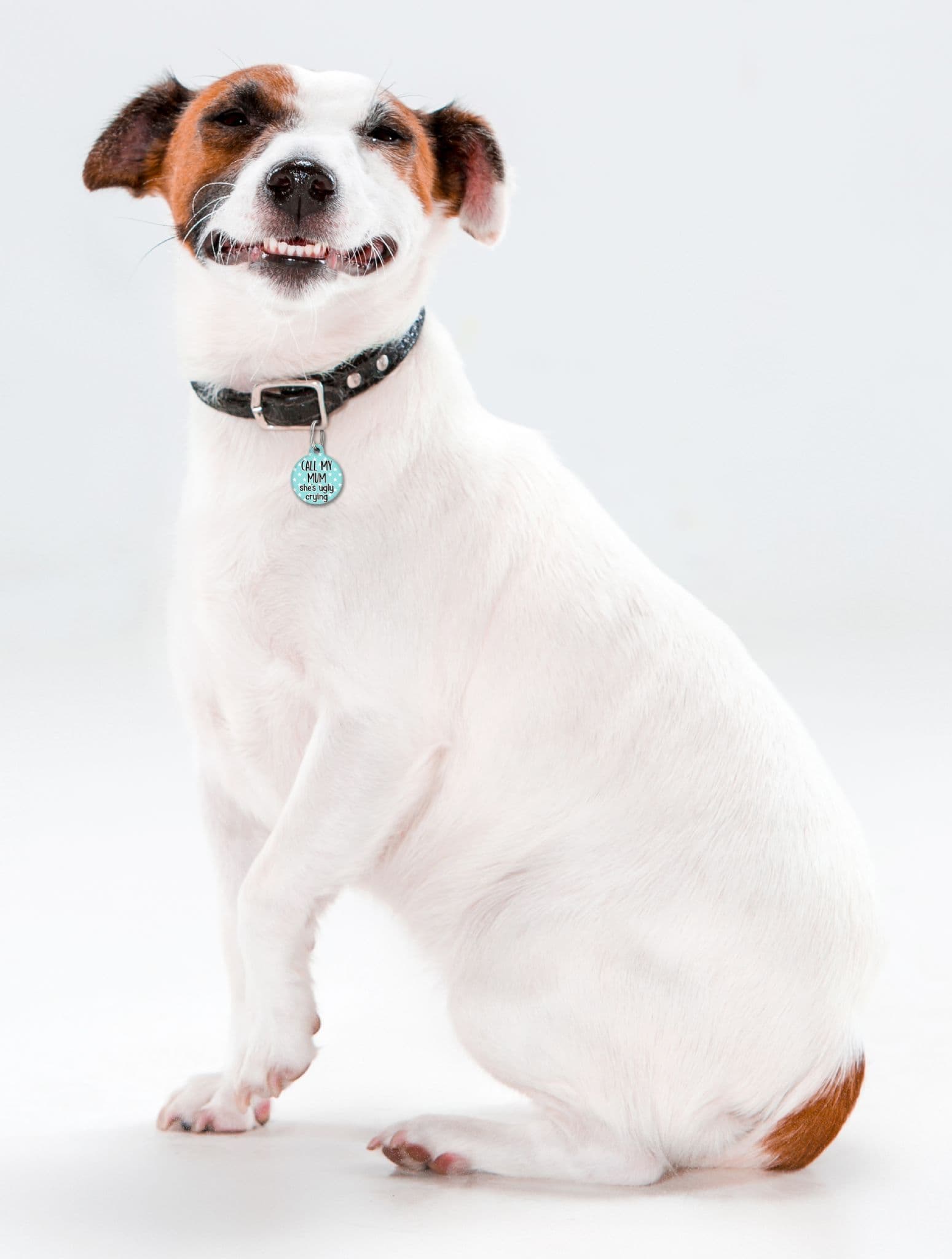 Call My Mum She's Ugly Crying Turqouise - Pet (Dog & Cat) ID Tag