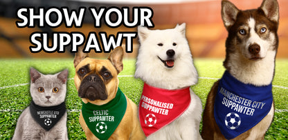 Come On Wales Dragon Dog Bandana
