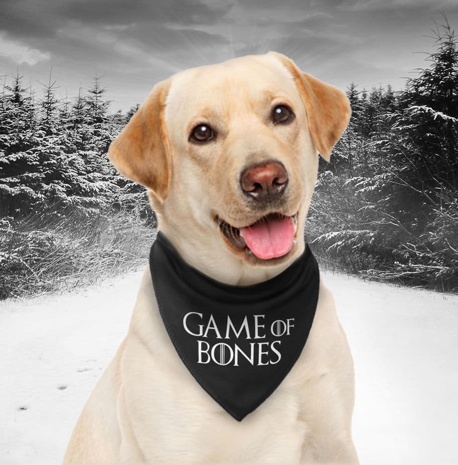 Game of Thrones 'Game Of Bones' Dog Bandana