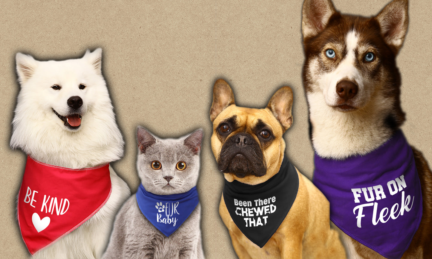 Pest Control Dog Bandana