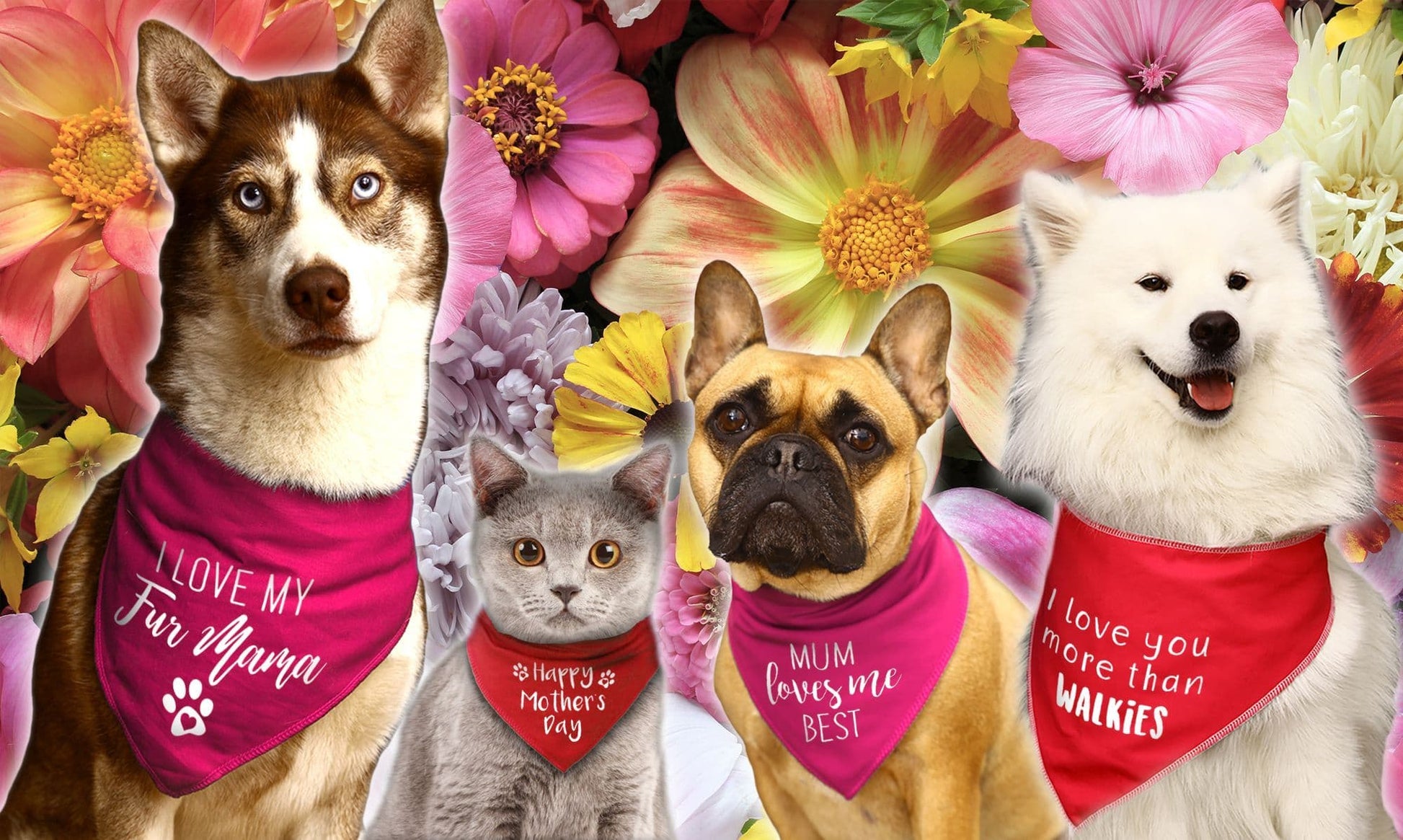 Happy Mother's Day Balloons Dog Bandana