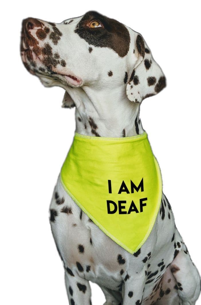 'I AM DEAF' Alert Hi Viz Dog Bandana