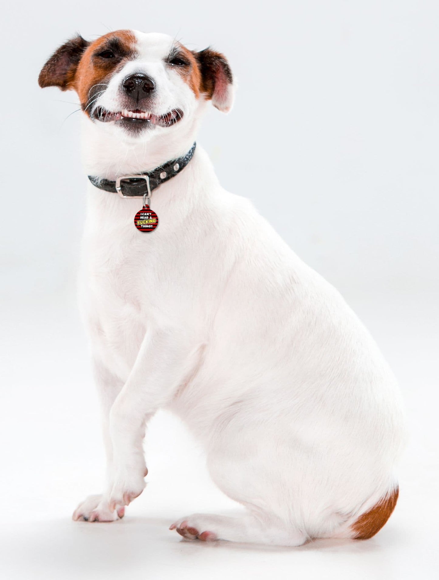 I Can't Hear A Fucking Thing Beano Style - Pet (Dog & Cat) ID Tag