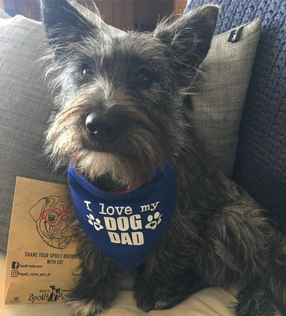 I Love My Dog Dad' Father's Day Dog Bandana