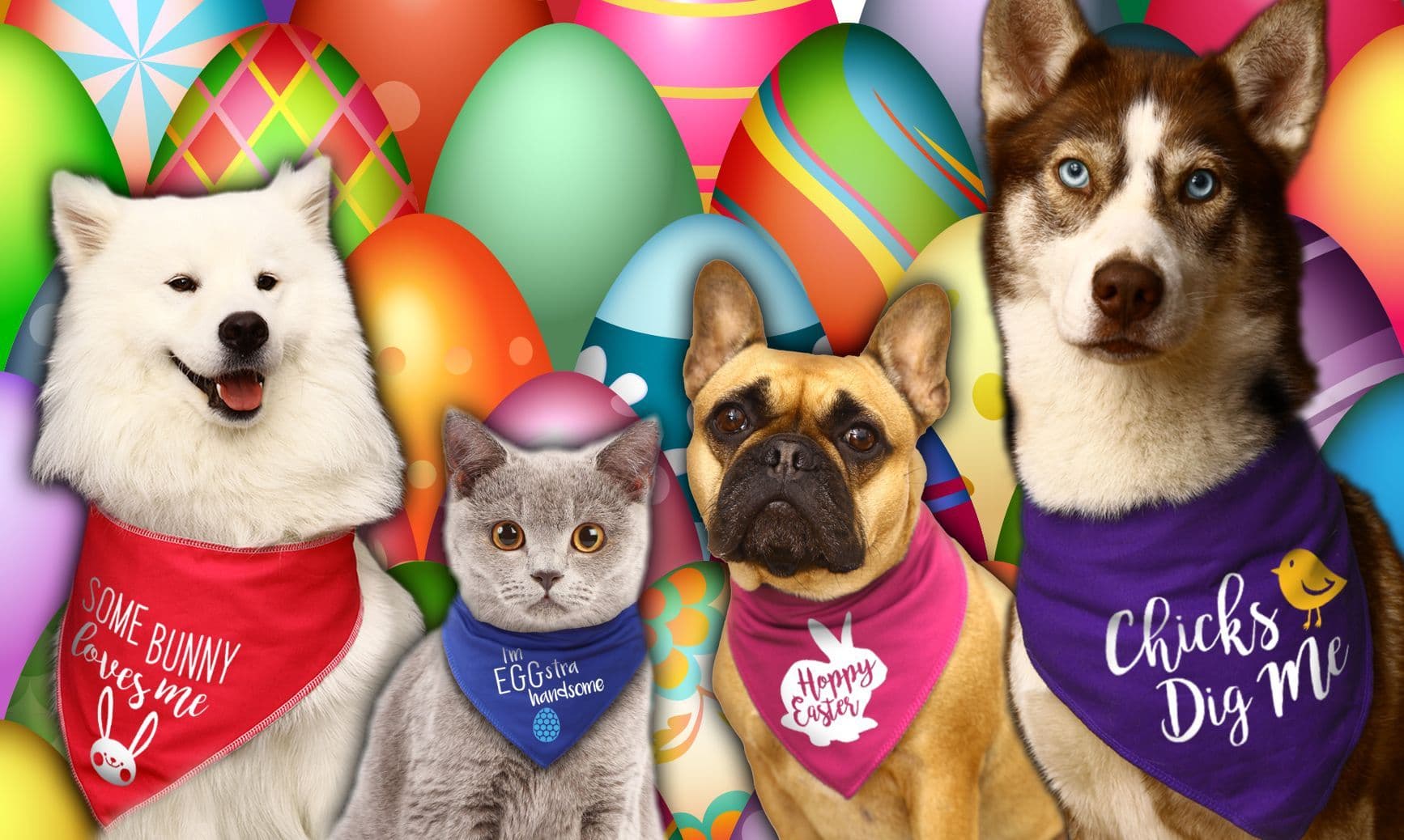 I'm just here for the Chicks' Easter Dog Bandana