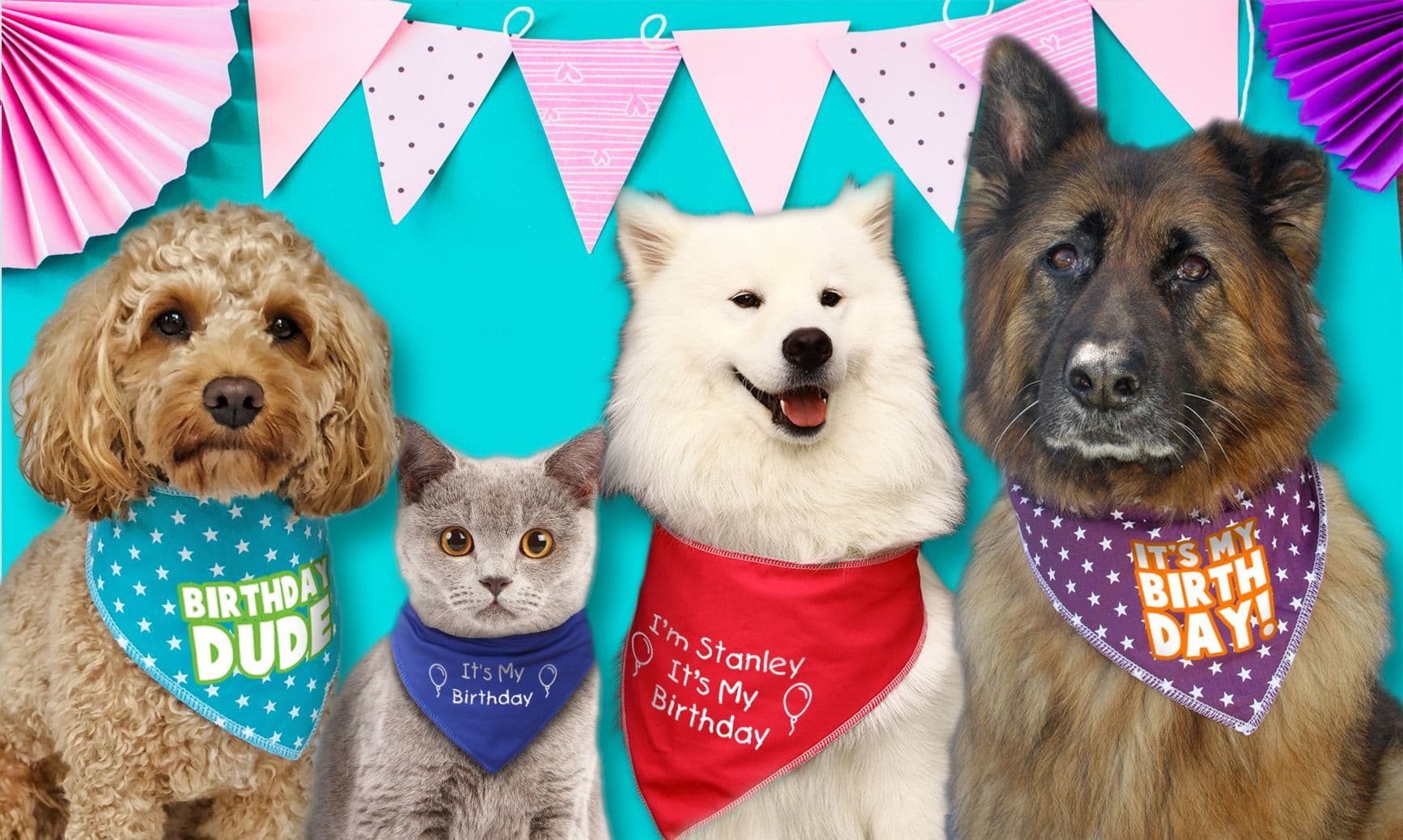 I'm (Name) It's My Birthday' Personalised With Name Dog Bandana