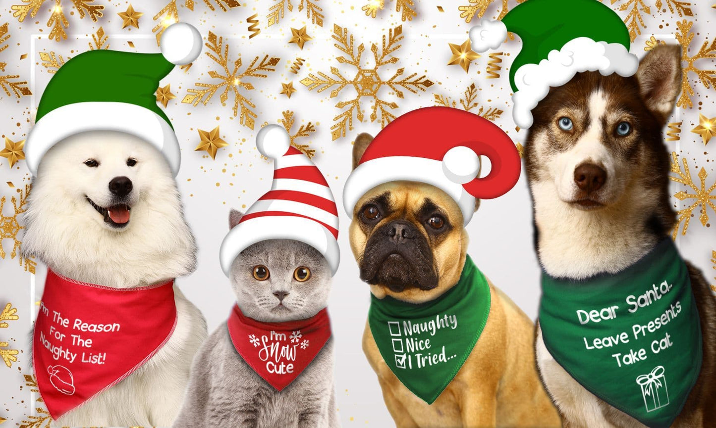 'I Tried...' Christmas Dog Bandana