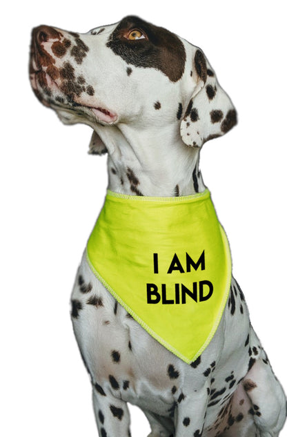 I AM BLIND Hi Vis Dog Bandana