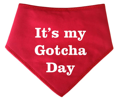 It's My Gotcha Day' Adoption Rehoming  Bandana
