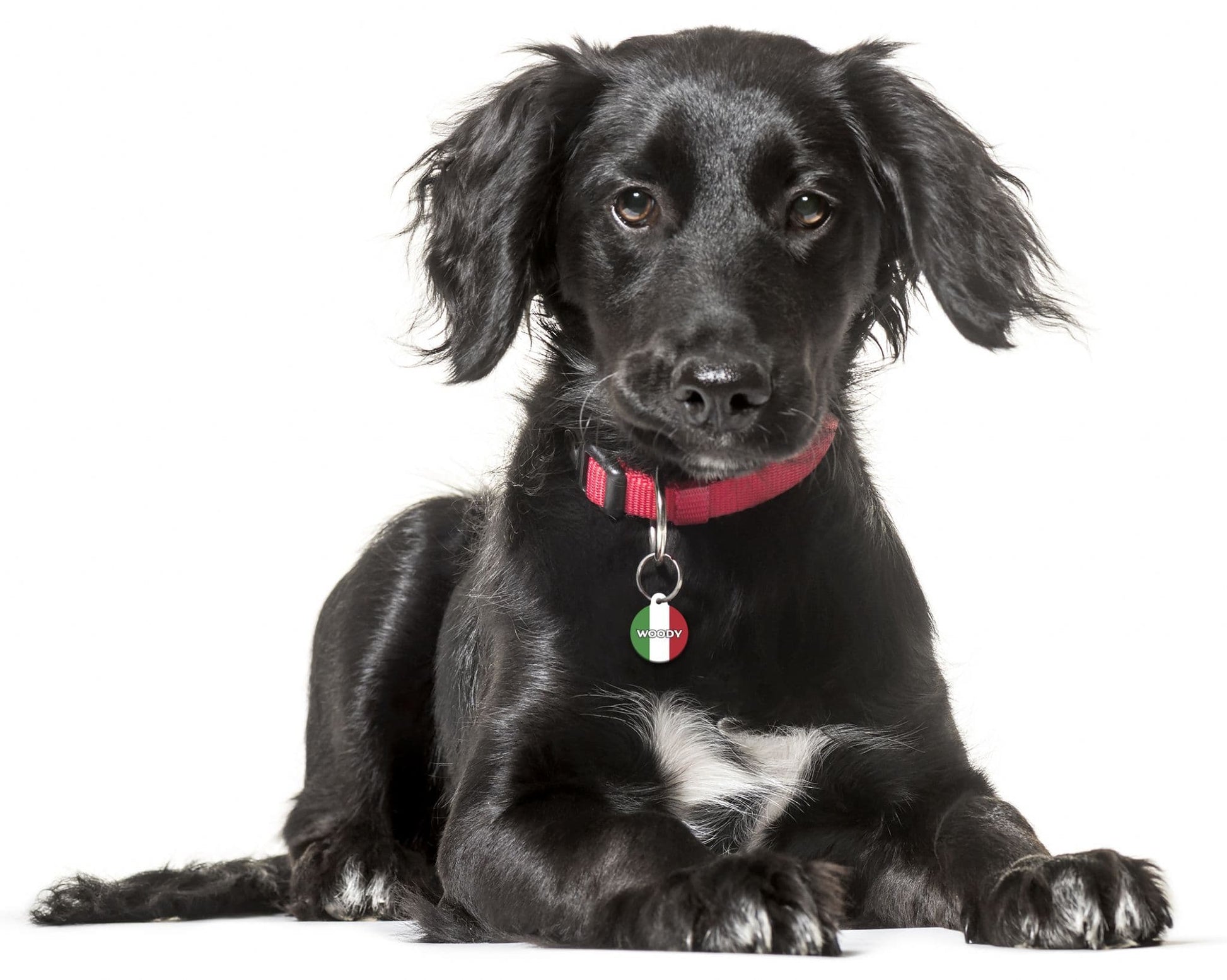 Italy- Pet (Dog & Cat) ID Tag