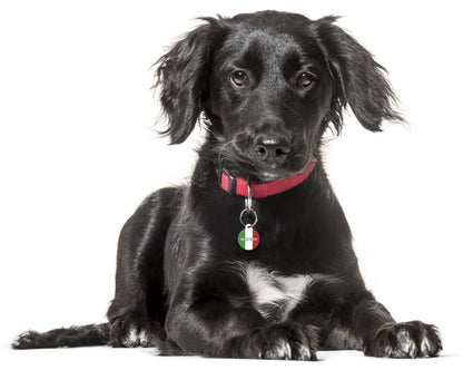 Italy- Pet (Dog & Cat) ID Tag