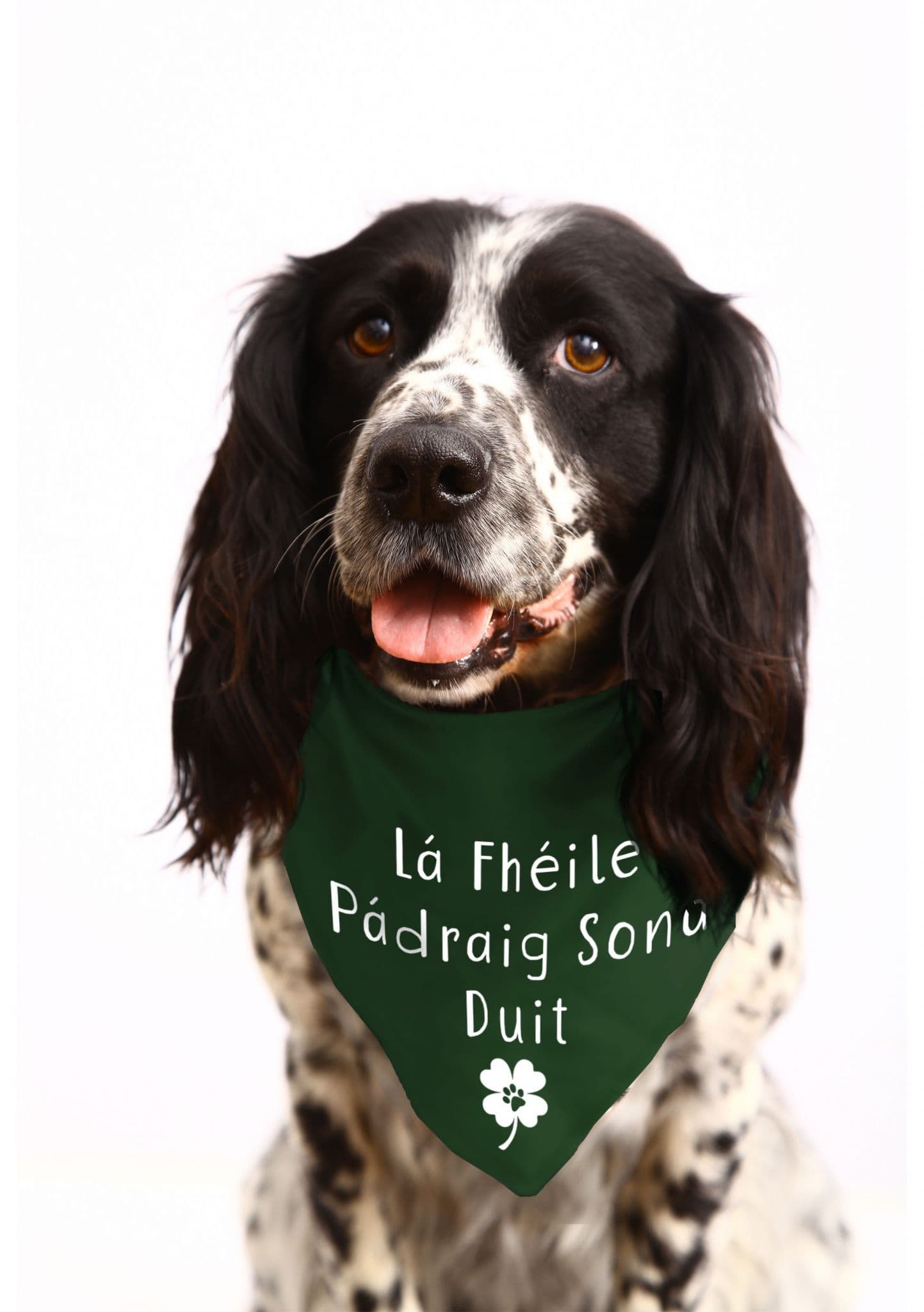 Lá Fhéile Pádraig Sona Duit' Happy St Patrick's day - in Irish! Dog Bandana