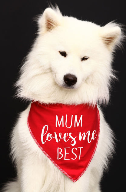 'Mum Loves Me Best' Happy Mother's Day Dog Bandana
