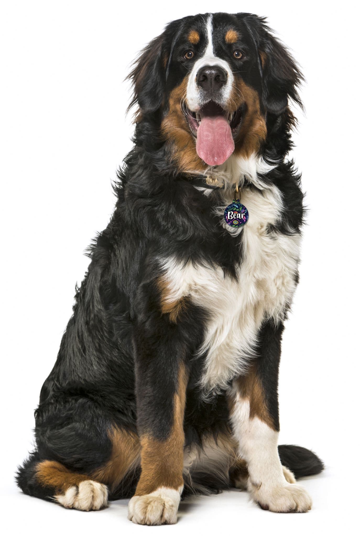 Navy Folksy Flowers - Pet (Dog & Cat) ID Tag