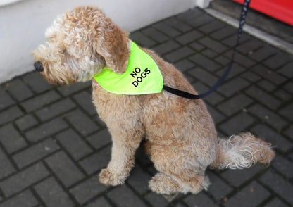 'NO DOGS' Alert Hi Viz  Dog Bandana