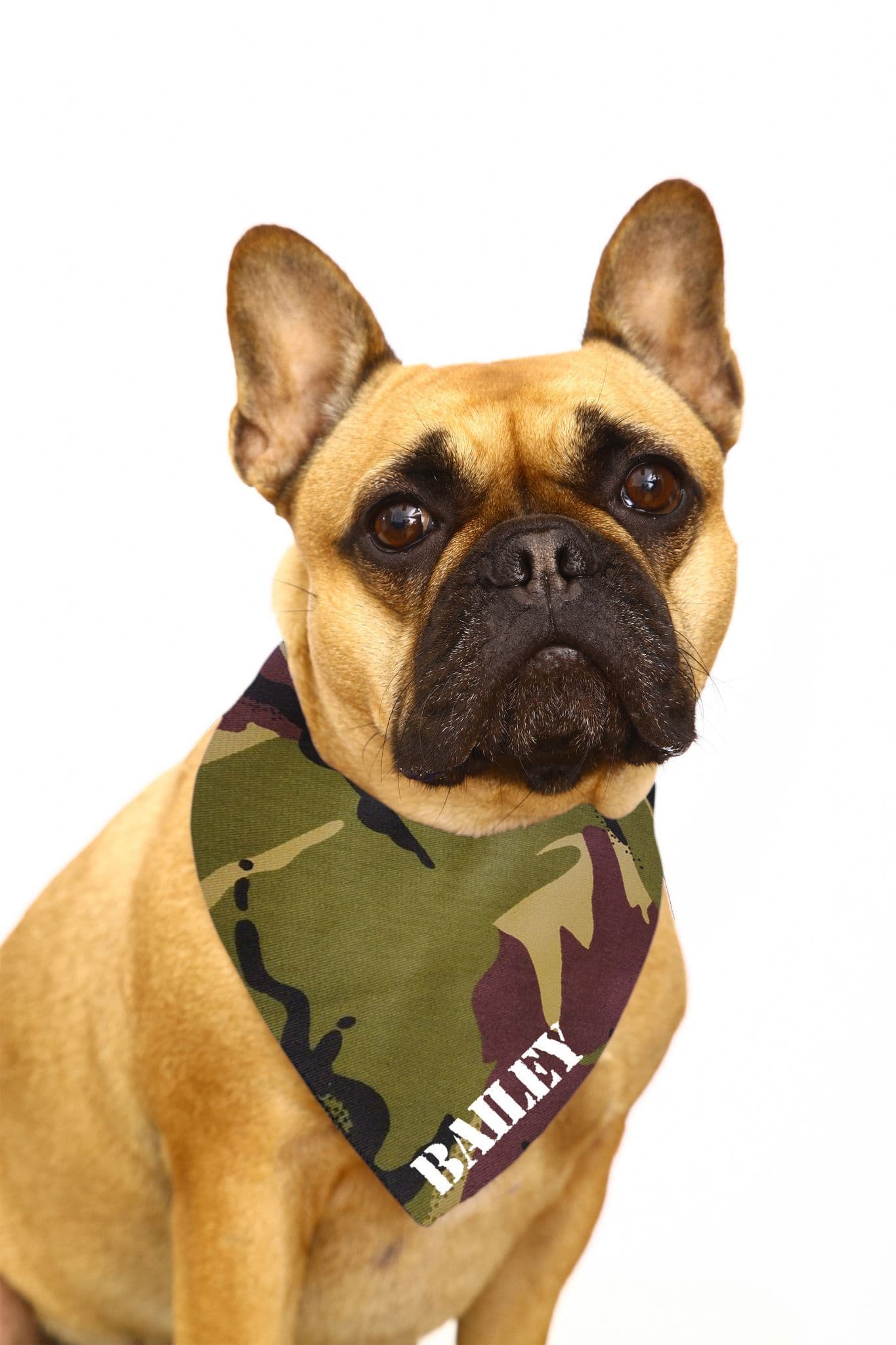 Personalised Khaki Camo Dog Bandana