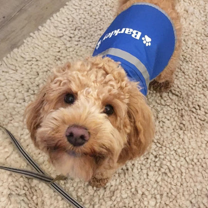 Personalised Name With Paw High Visibility Lightweight Coat