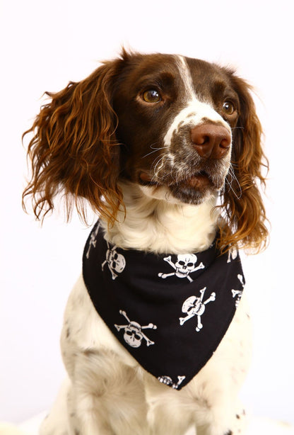 Personalised White Skulls Dog Bandana