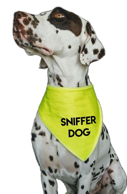 'SNIFFER DOG' Alert Hi Viz Dog Bandana
