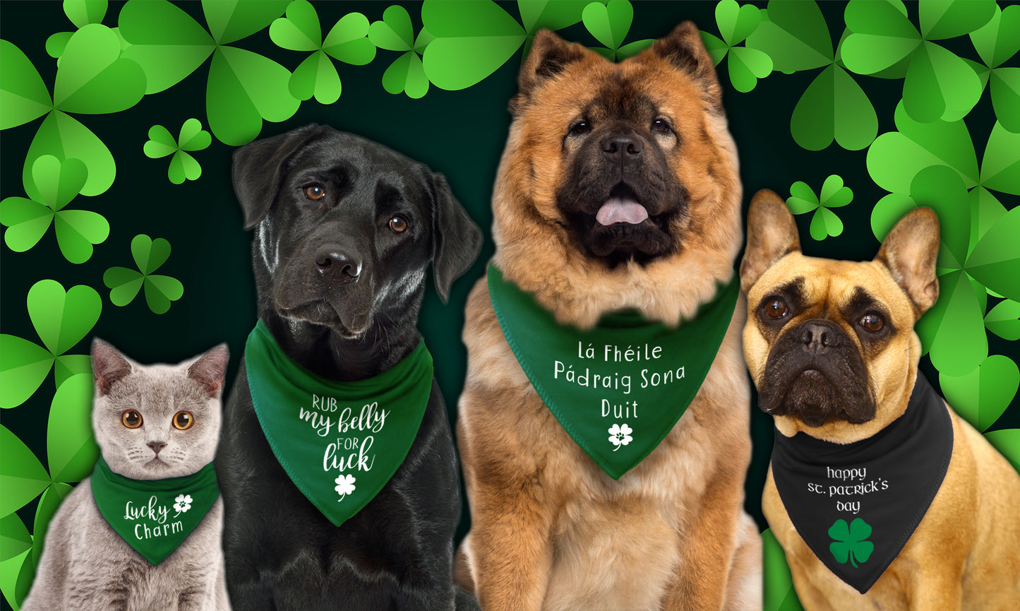 Lá Fhéile Pádraig Sona Duit' (Happy St Patrick's Day) Dog Bandana