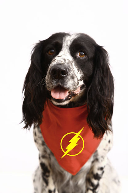 The Flash Flash Gordon Dog Bandana