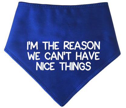 I'm The Reason We Can't Have Nice Things Dog Bandana
