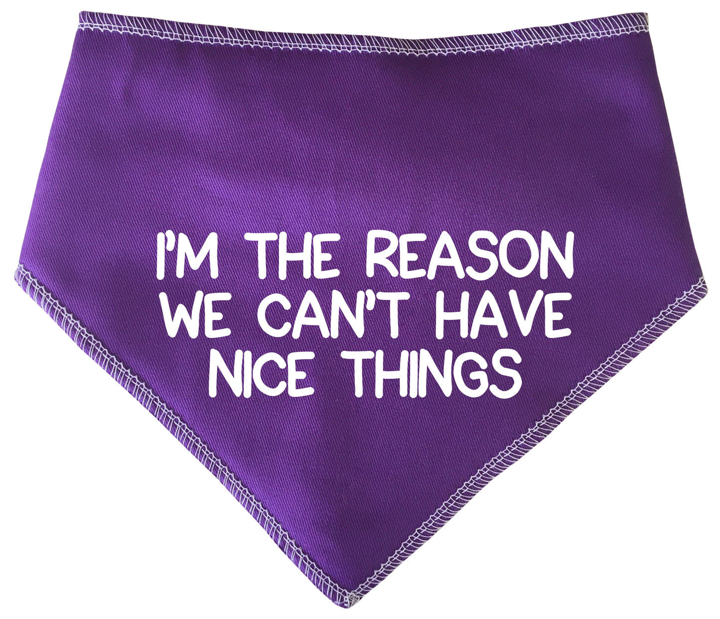 I'm The Reason We Can't Have Nice Things Dog Bandana