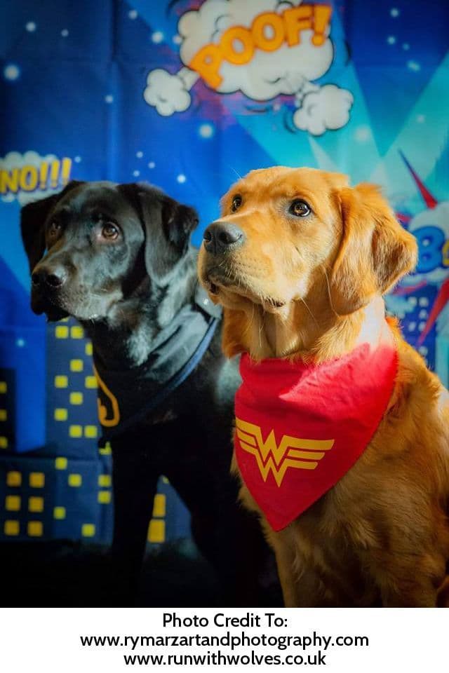 Wonder Woman Red Dog Bandana